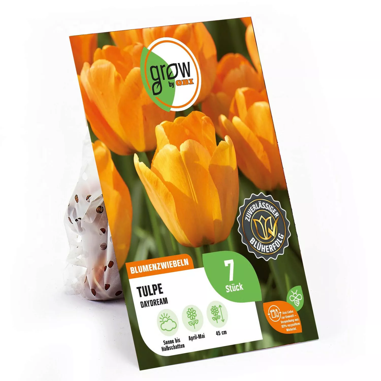 GROW by OBI Tulpe Darwin Hybrid Daydream Orange 45 cm Tulipa günstig online kaufen