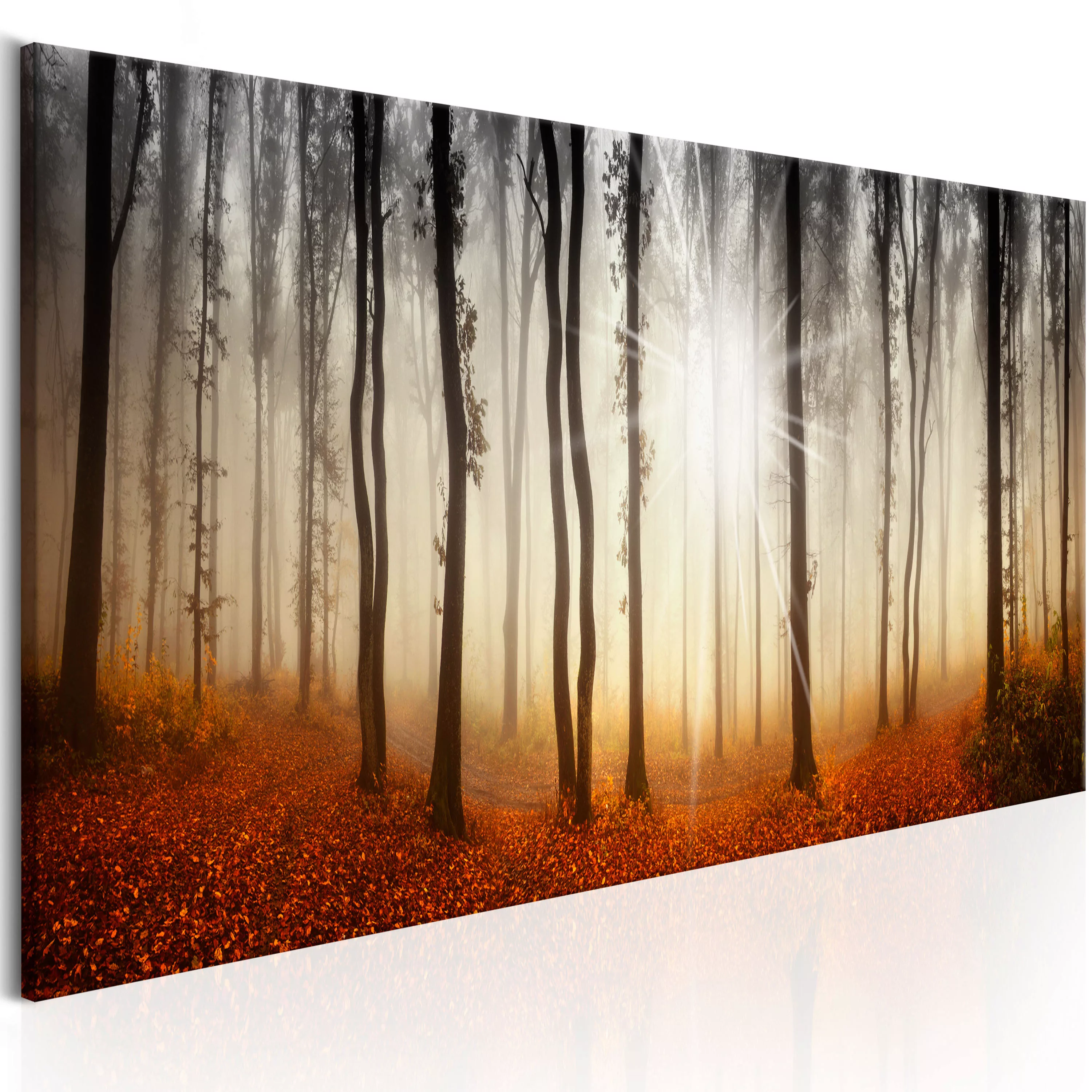 Wandbild - Autumnal Fog günstig online kaufen