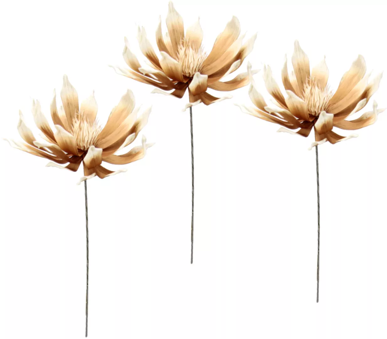 I.GE.A. Kunstblume "Soft-Protea", 3er Set günstig online kaufen