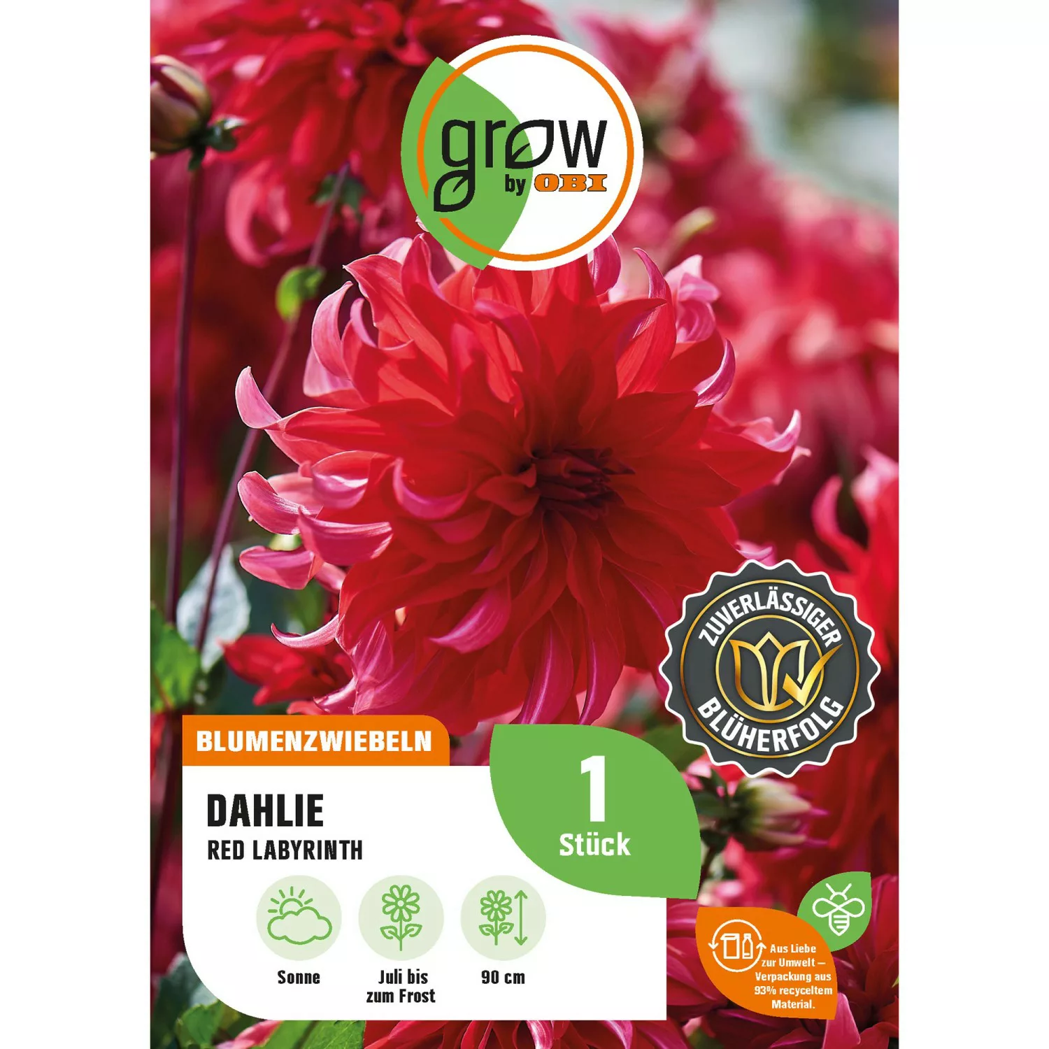 GROW by OBI Dahlie Red Labyrinth Höhe ca. 90 cm günstig online kaufen