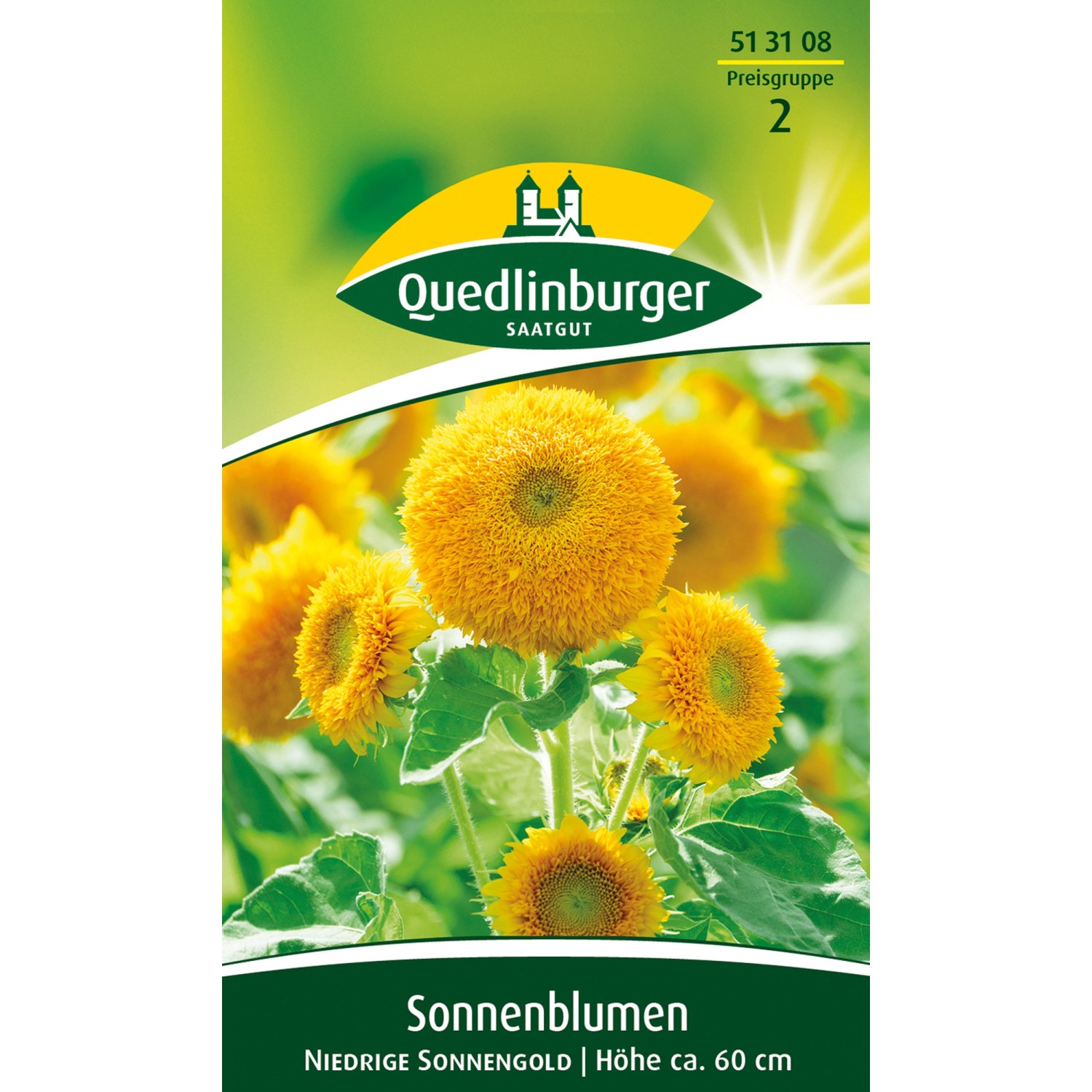 Quedlinburger Sonnenblume ''niedrige Sonnengold'' günstig online kaufen