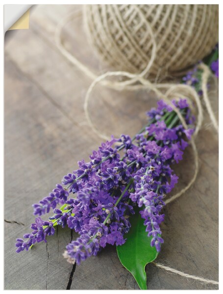 Artland Wandbild »Lavendel Strauß«, Blumen, (1 St.), als Leinwandbild, Post günstig online kaufen
