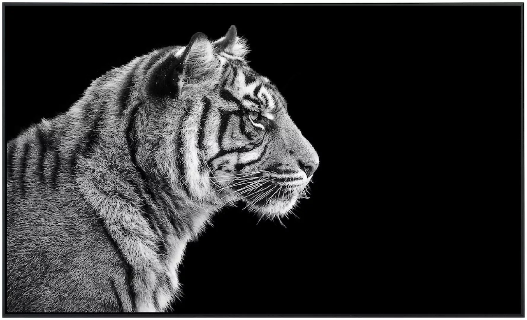 Papermoon Infrarotheizung »Sumatra Tiger Porträt« günstig online kaufen