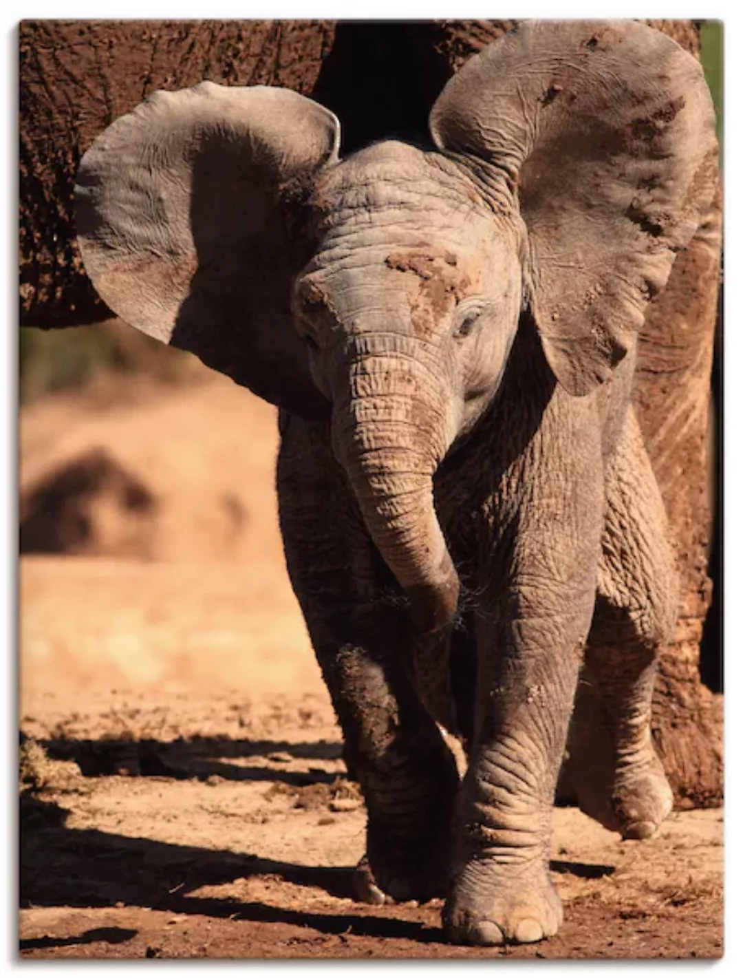 Artland Leinwandbild »Elefantenbaby«, Wildtiere, (1 St.), auf Keilrahmen ge günstig online kaufen