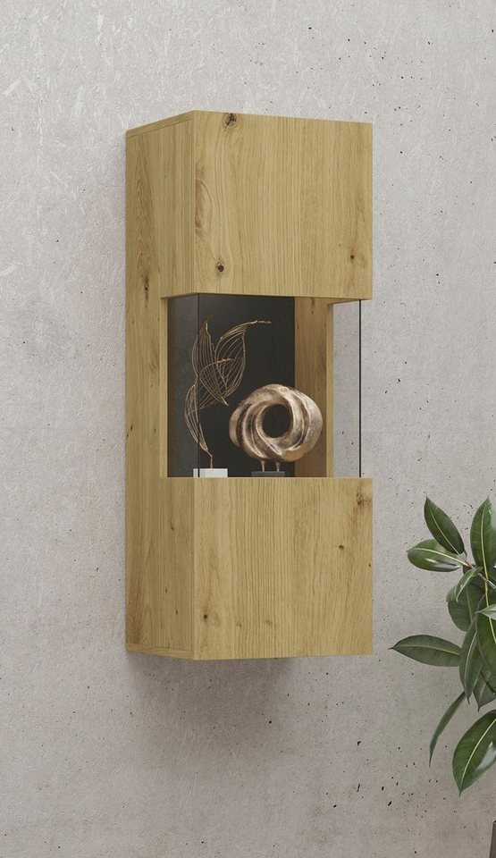 INOSIGN Hängevitrine "Ava, Breite 36 cm, hängend montierbar", moderne griff günstig online kaufen