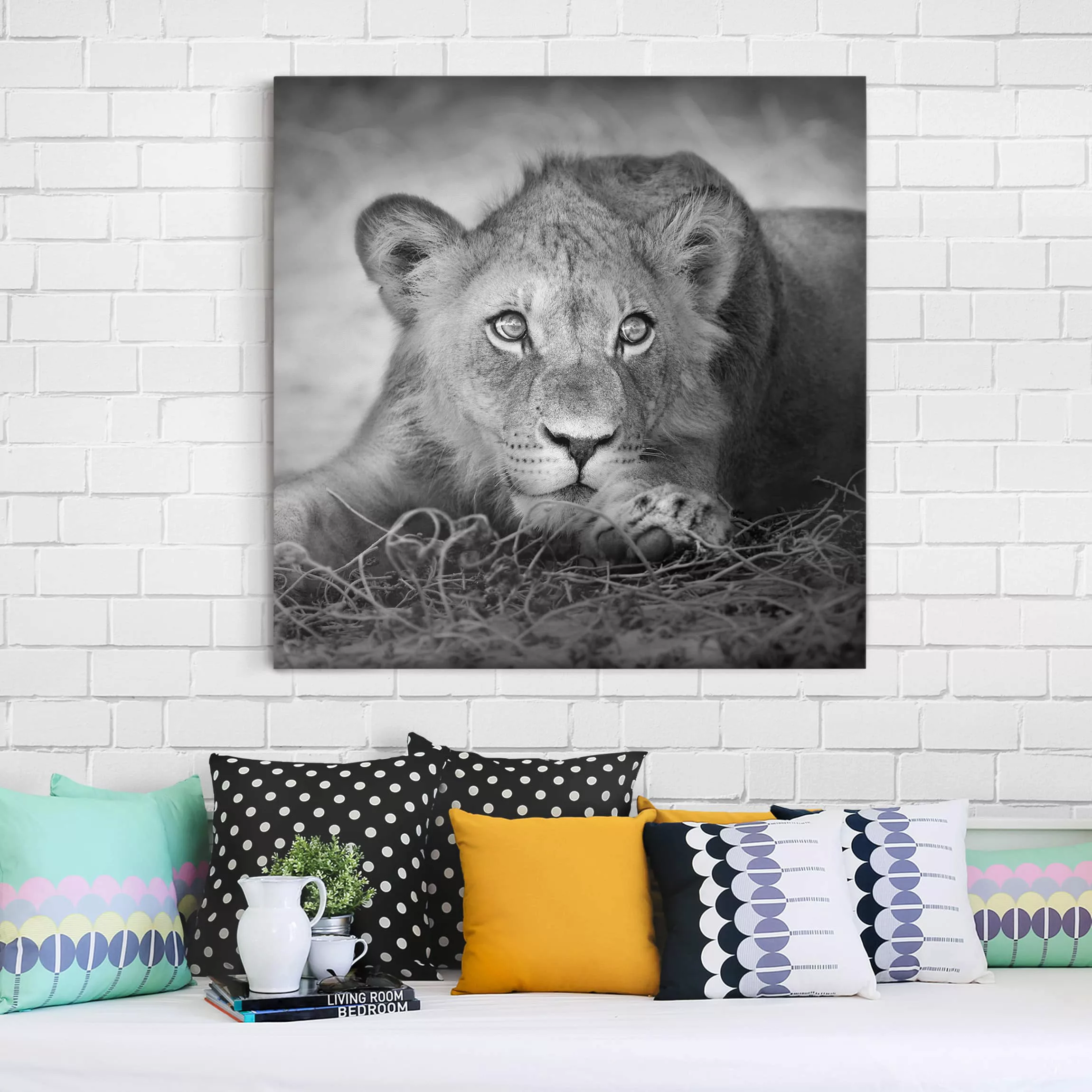 Leinwandbild Tiere - Quadrat Lurking Lionbaby günstig online kaufen