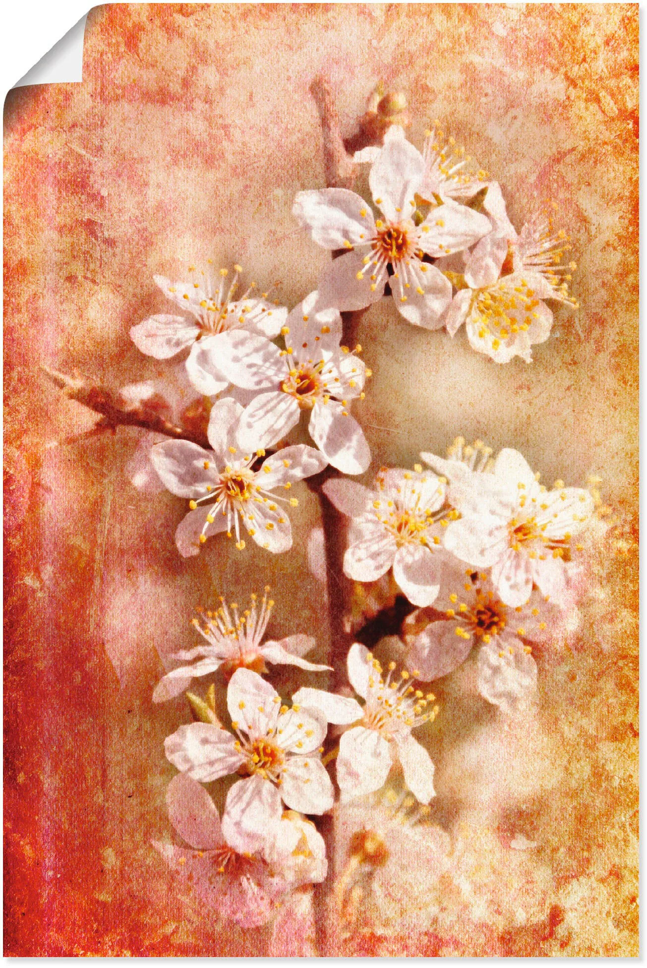 Artland Wandbild "Kirschblüten", Blumen, (1 St.), als Leinwandbild, Poster günstig online kaufen