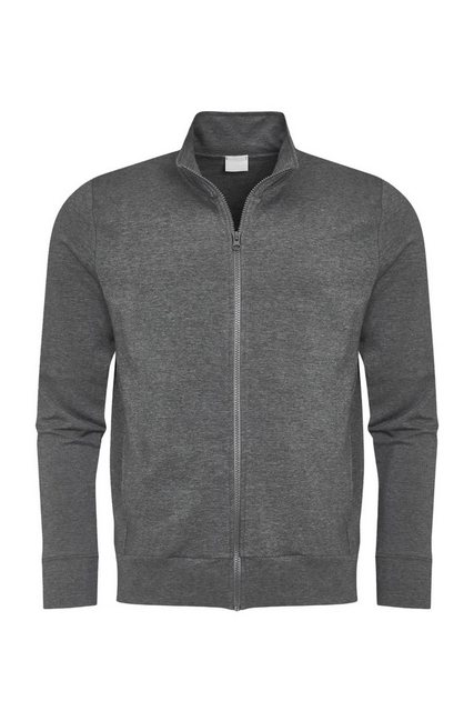 Mey V-Ausschnitt-Pullover uni regular fit (1-tlg) günstig online kaufen