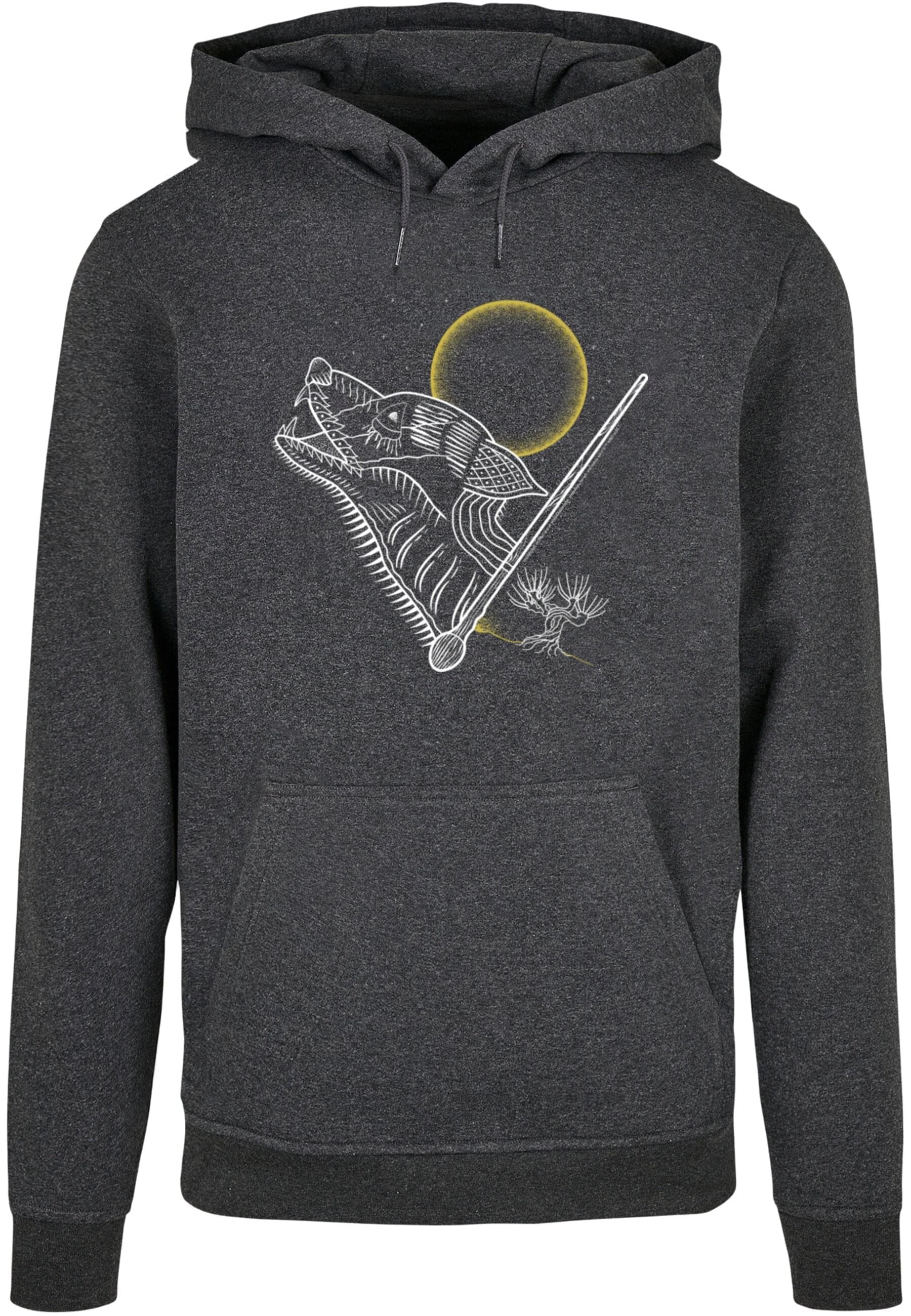 ABSOLUTE CULT Kapuzensweatshirt "ABSOLUTE CULT Herren Harry Potter - Werewo günstig online kaufen