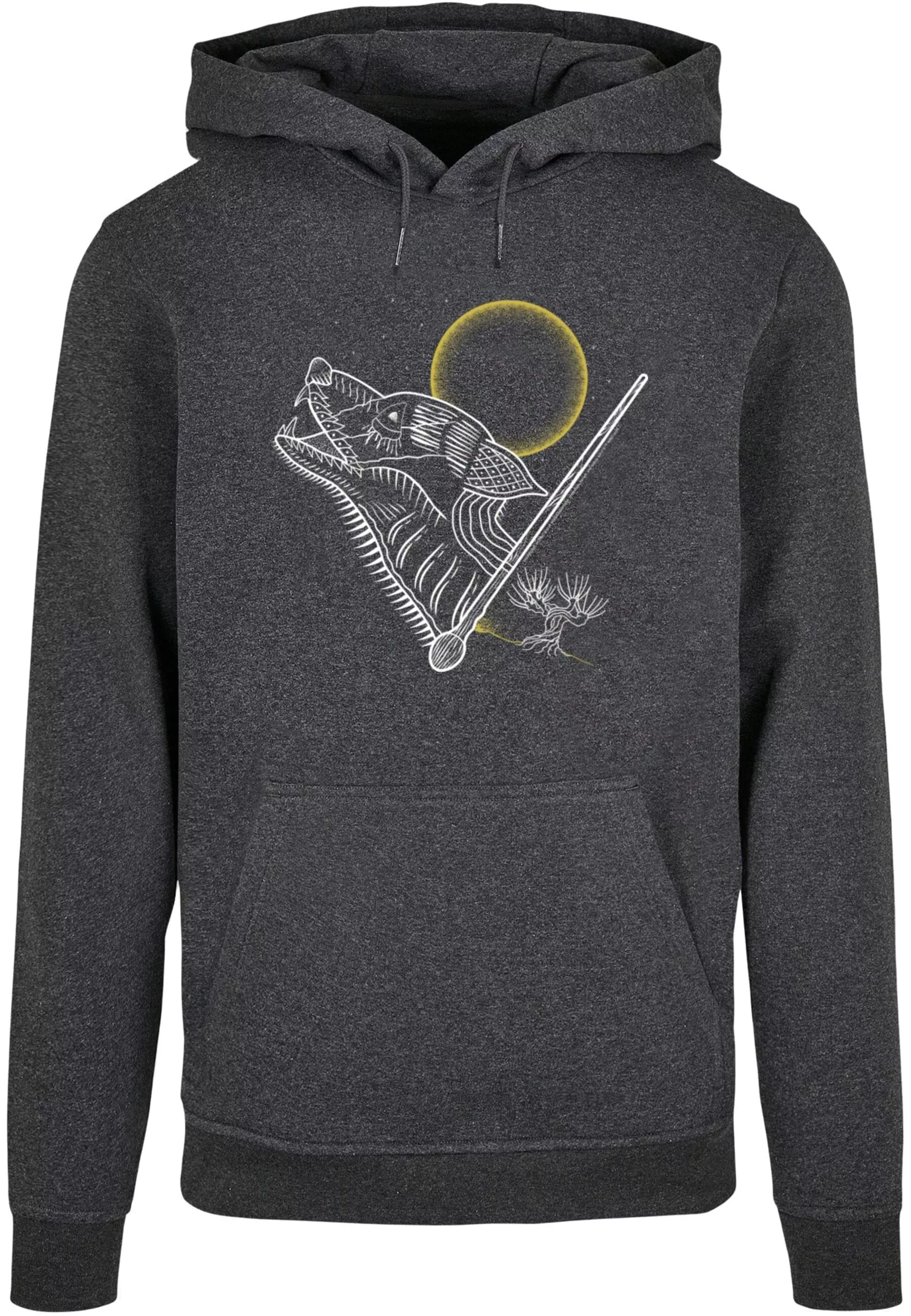 ABSOLUTE CULT Kapuzensweatshirt "ABSOLUTE CULT Herren Harry Potter - Werewo günstig online kaufen