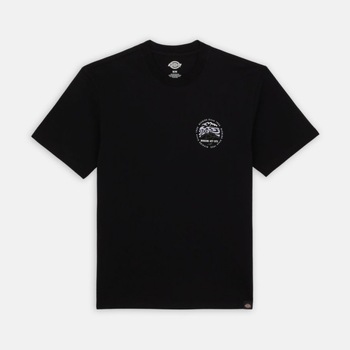 Dickies  T-Shirts & Poloshirts SS STANARDSVILLE TEE günstig online kaufen