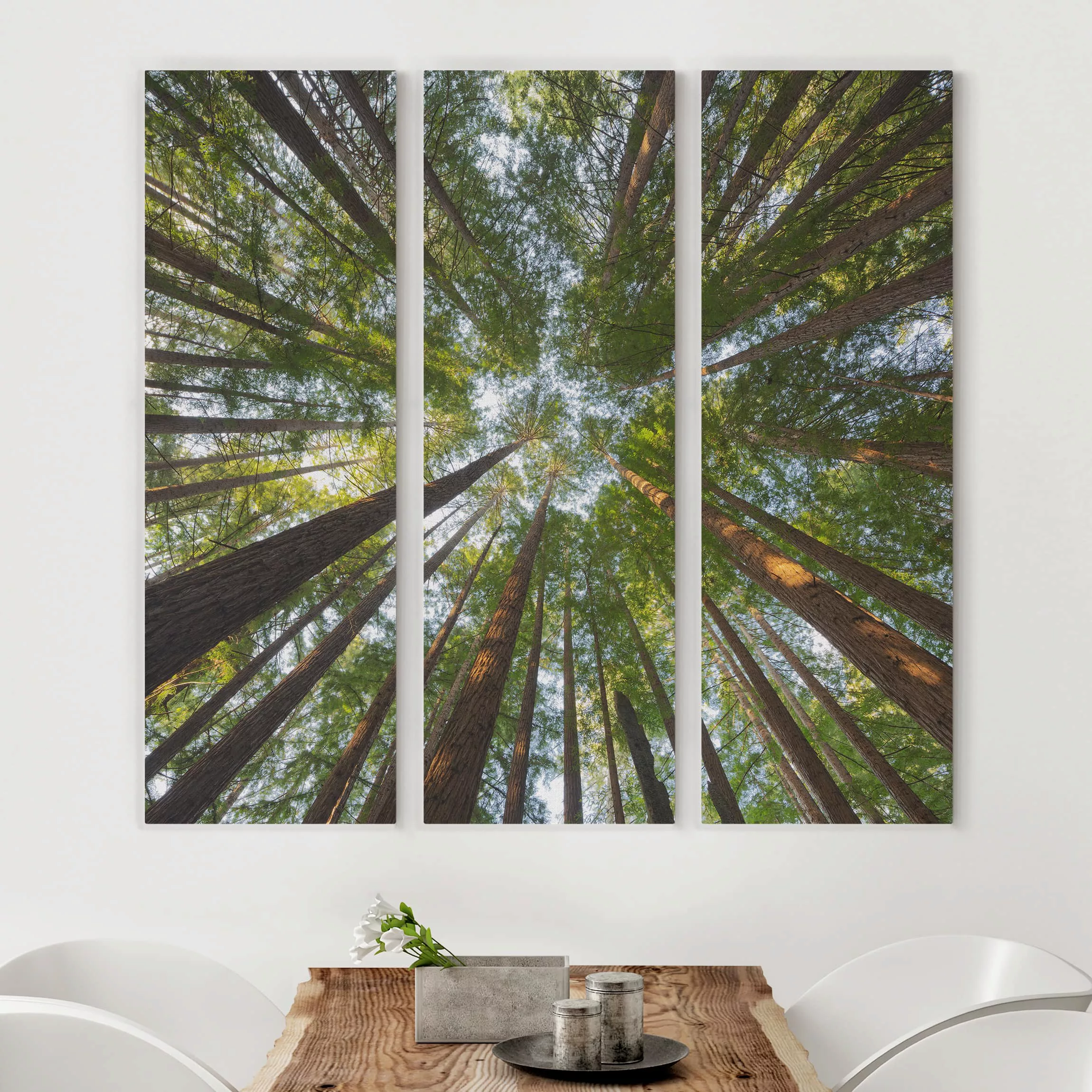 3-teiliges Leinwandbild Wald - Quadrat Mammutbaum Baumkronen günstig online kaufen