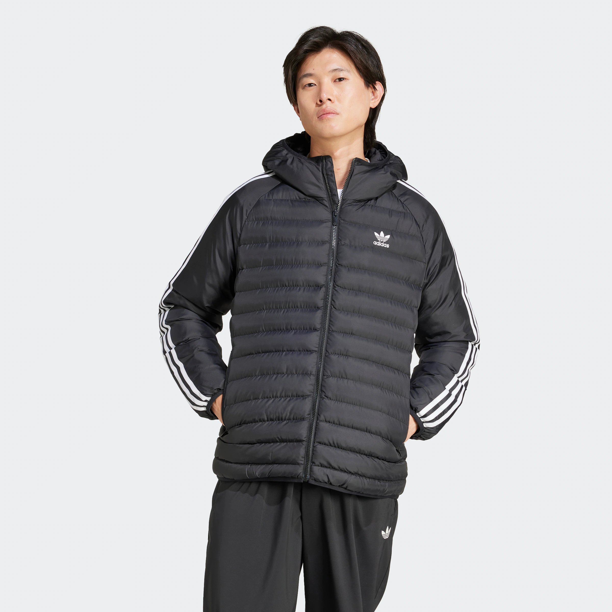 adidas Originals Steppjacke "PAD HOODED JKT" günstig online kaufen