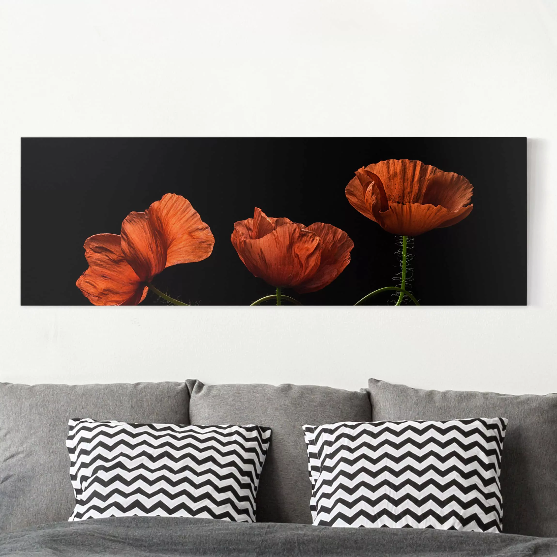 Leinwandbild Blumen - Panorama Mohnblumen um Mitternacht günstig online kaufen