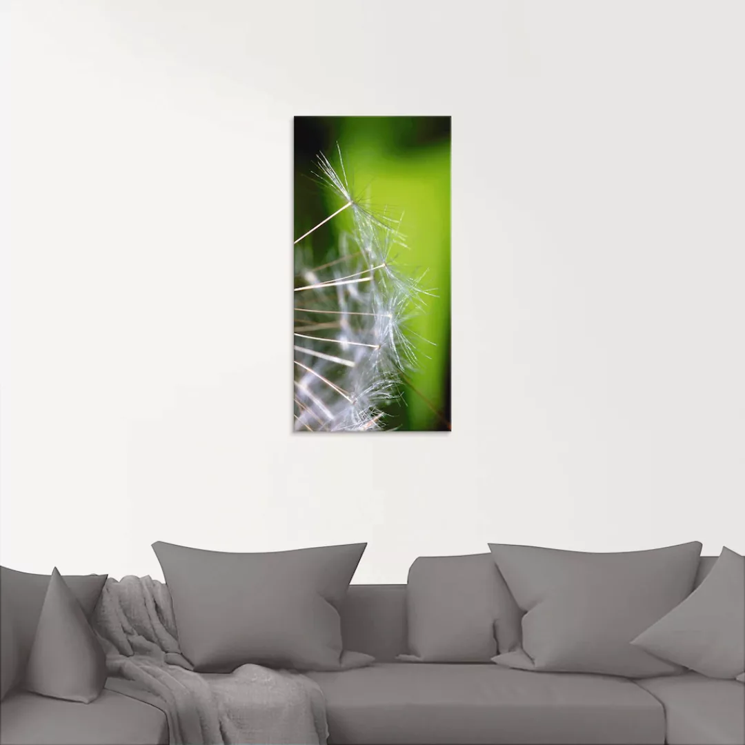 Artland Glasbild "Pusteblumesamen", Blumen, (1 St.) günstig online kaufen
