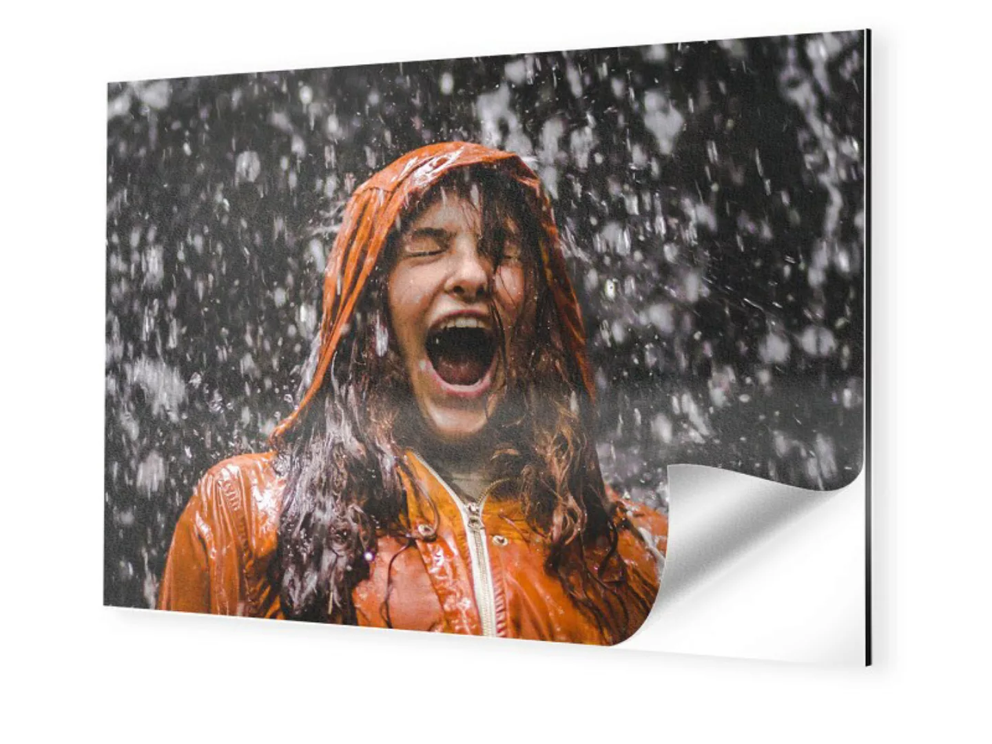 Foto auf Alu Dibond im Format 48 x 27 cm im Format 48 x 27 cm günstig online kaufen