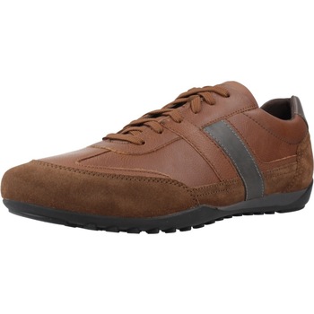 Geox  Sneaker U WELLS günstig online kaufen