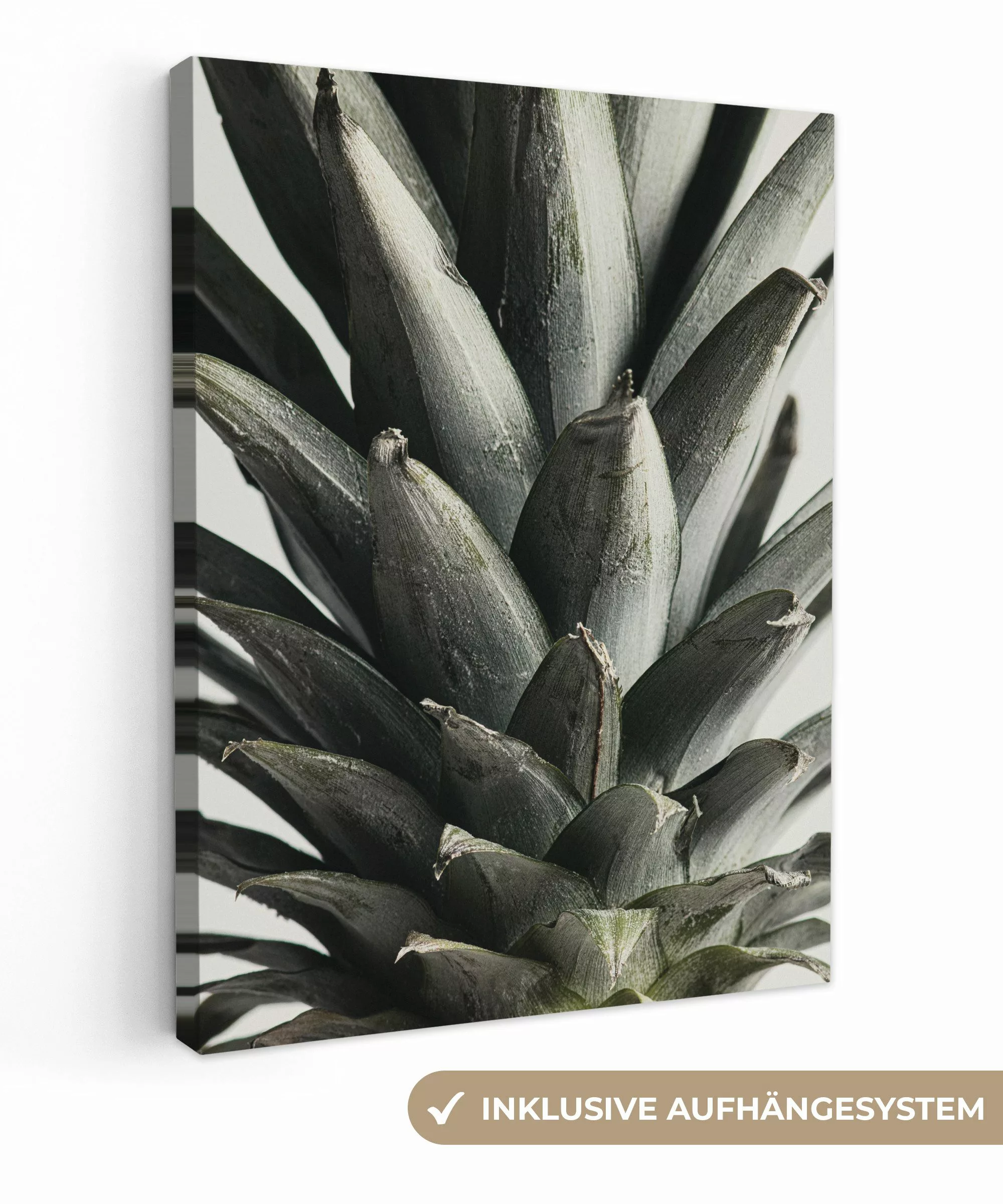 OneMillionCanvasses® Leinwandbild Ananas - Grün - günstig online kaufen