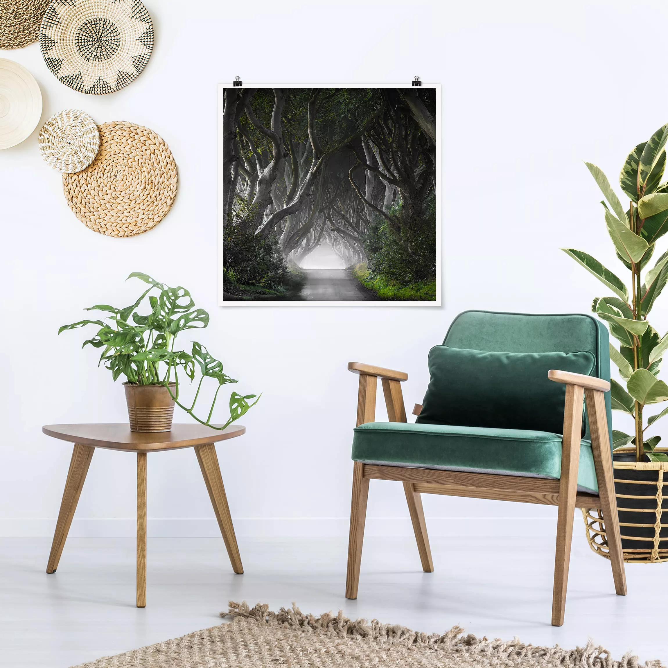 Poster Natur & Landschaft - Quadrat Wald in Nordirland günstig online kaufen