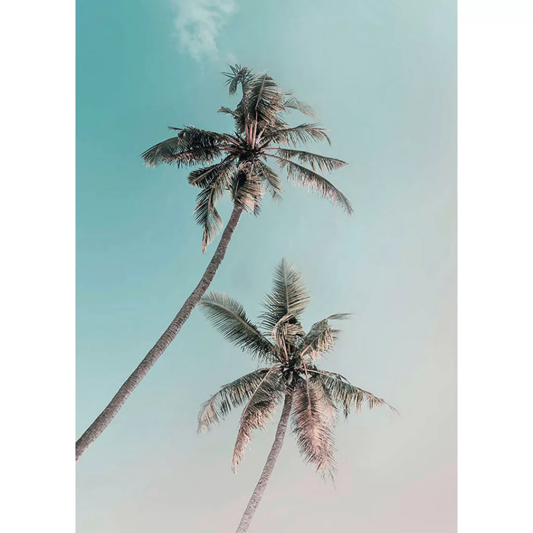 KOMAR Wandbild - Miami Palms - Größe: 50 x 70 cm mehrfarbig Gr. one size günstig online kaufen