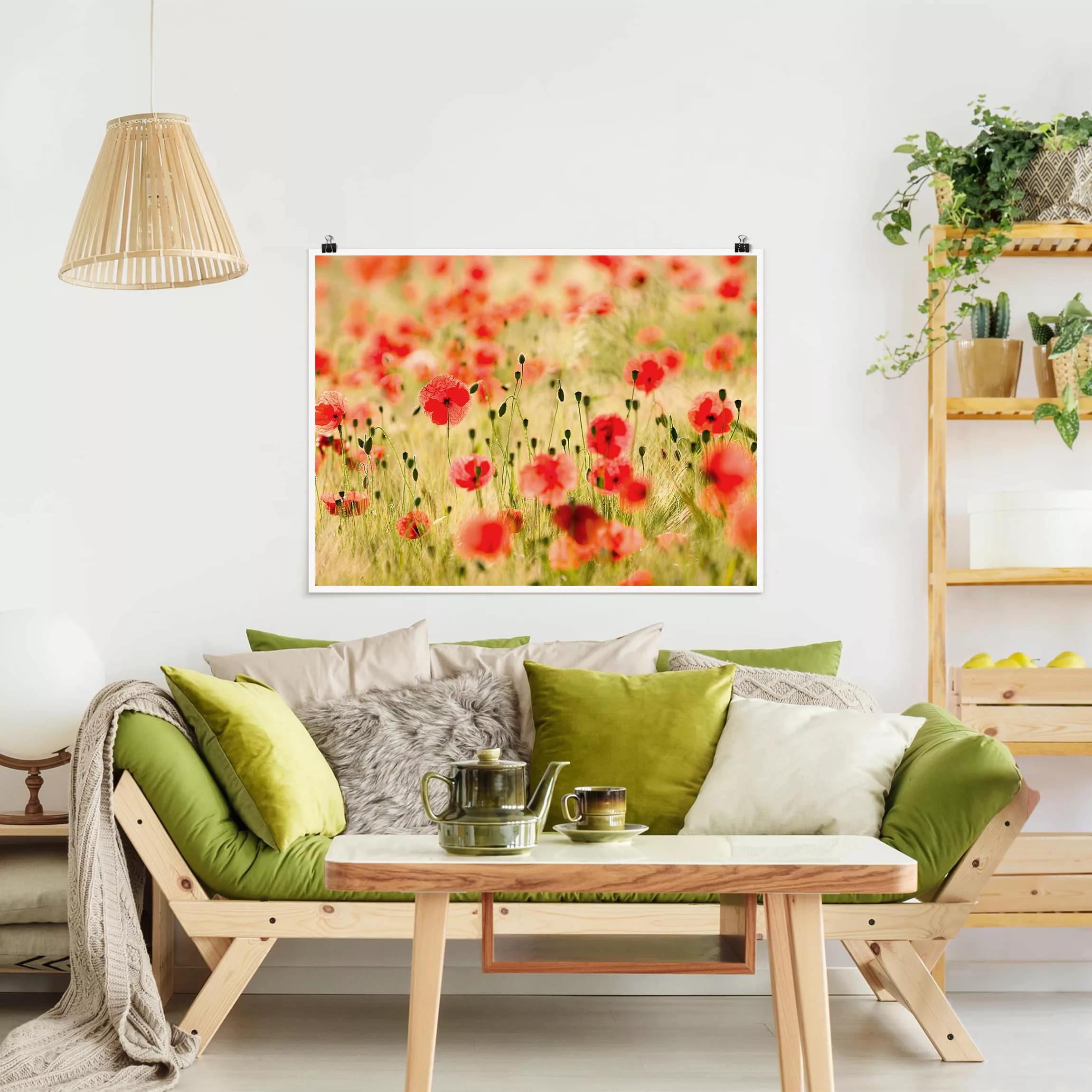 Poster Blumen - Querformat Summer Poppies günstig online kaufen