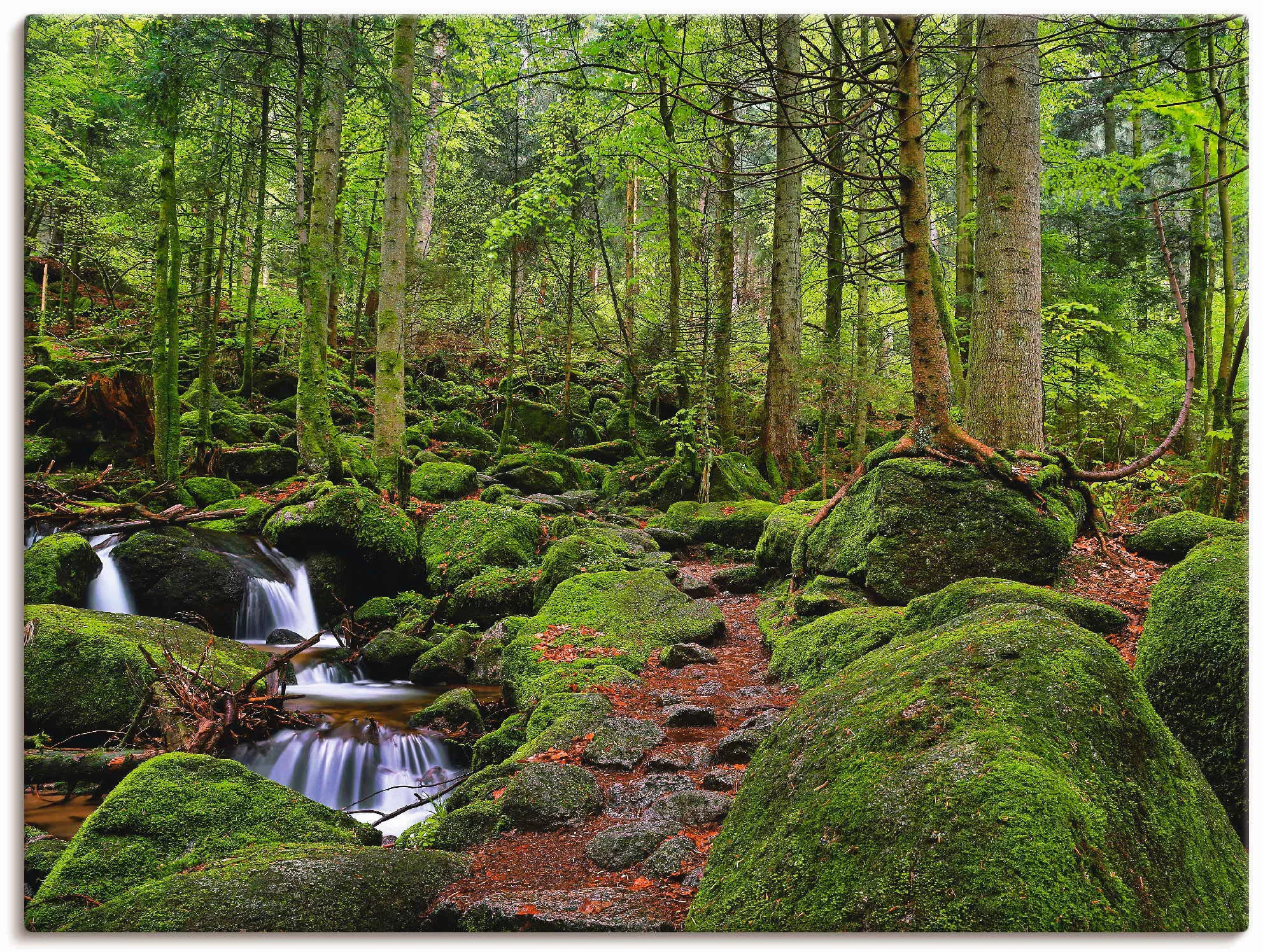 Artland Wandbild "Zauberwald", Wald, (1 St.), als Leinwandbild, Poster in v günstig online kaufen