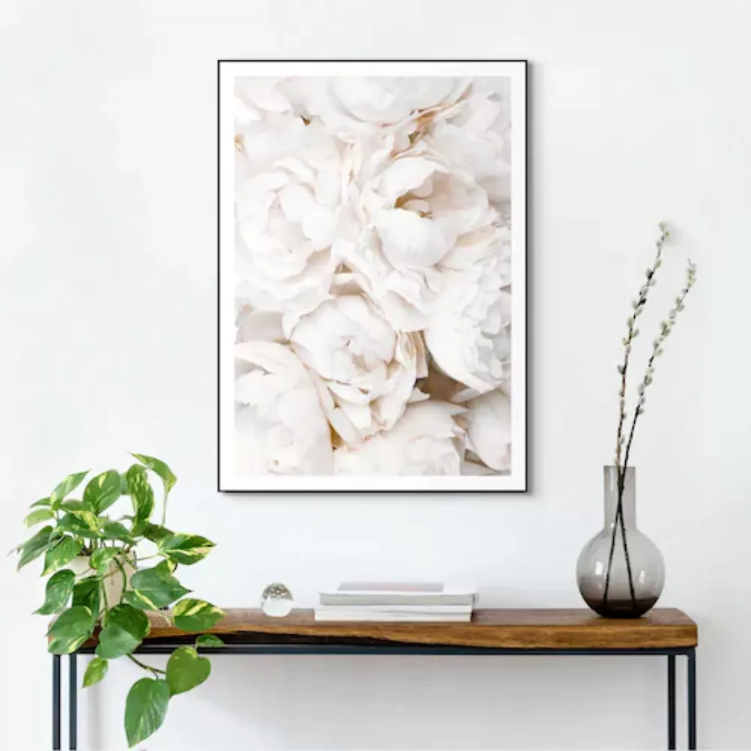 Reinders! Bild mit Rahmen »White Roses« günstig online kaufen