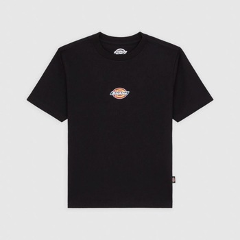 Dickies  T-Shirts & Poloshirts MAPLE VALLEY REG TEE günstig online kaufen