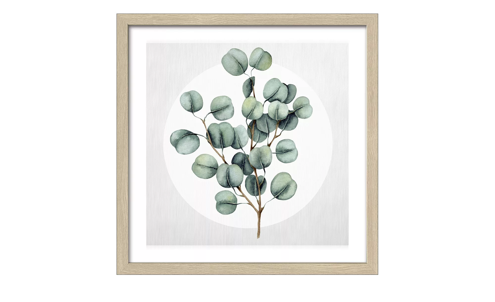 Gerahmtes Bild 30x30 cm  Different Eucalyptus Branches III - 30 cm - 30 cm günstig online kaufen