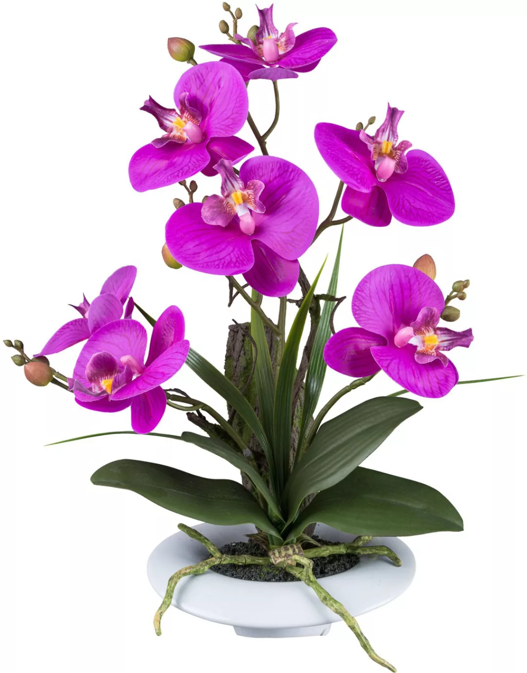 Creativ green Kunstorchidee "Orchidee Phalaenopsis", in außergewöhnlicher K günstig online kaufen