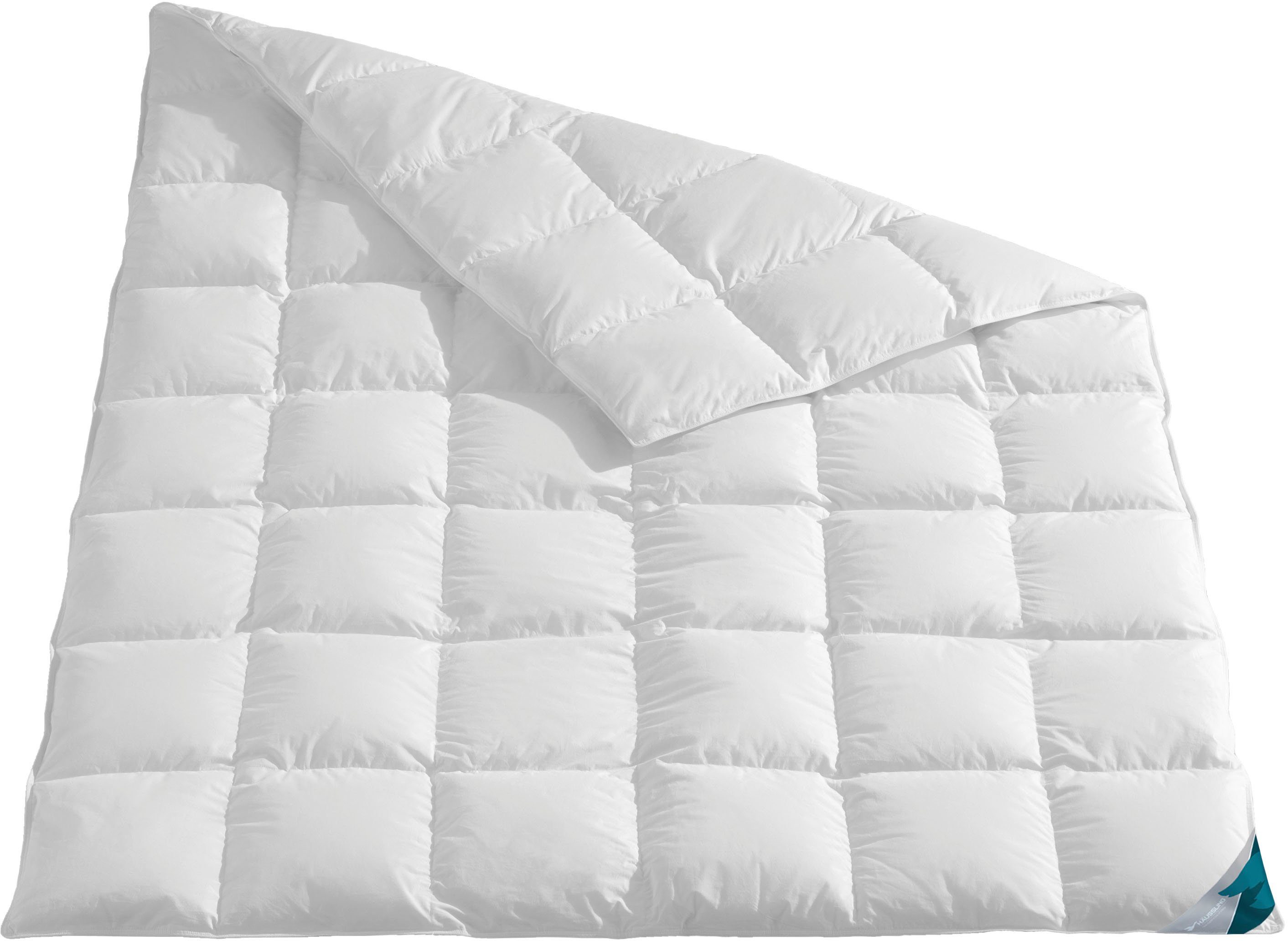 Haeussling Daunenbettdecke »Kuscheltraum«, normal, Füllung 60% Daunen, 40% günstig online kaufen