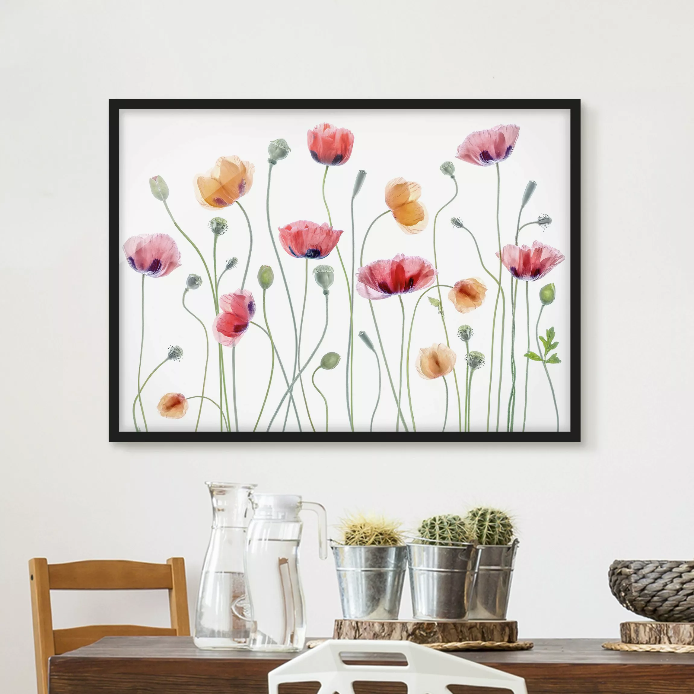 Bild mit Rahmen Blumen - Querformat Klatschmohn Party günstig online kaufen