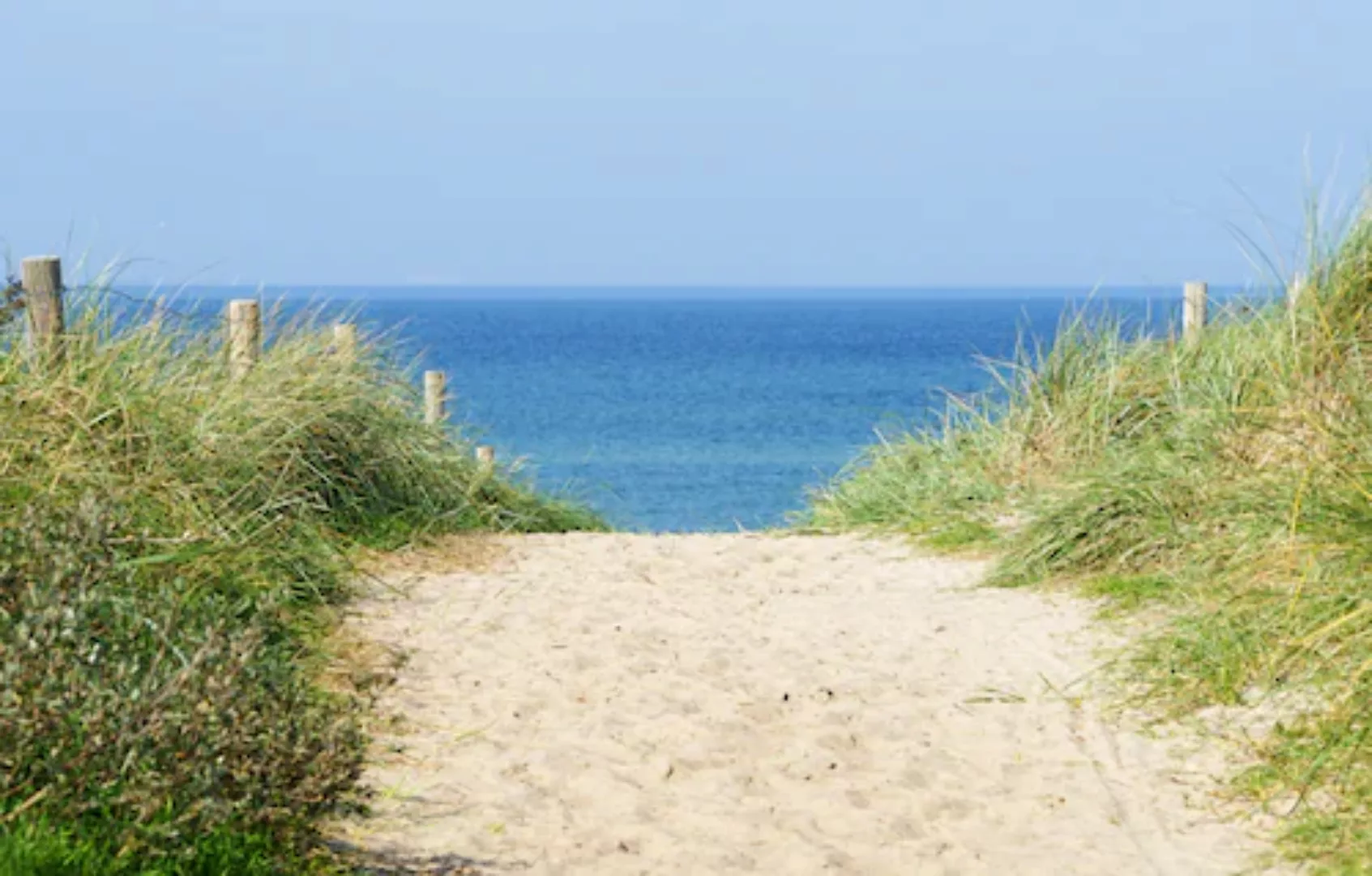 Papermoon Fototapete »Dune at the Ocean« günstig online kaufen
