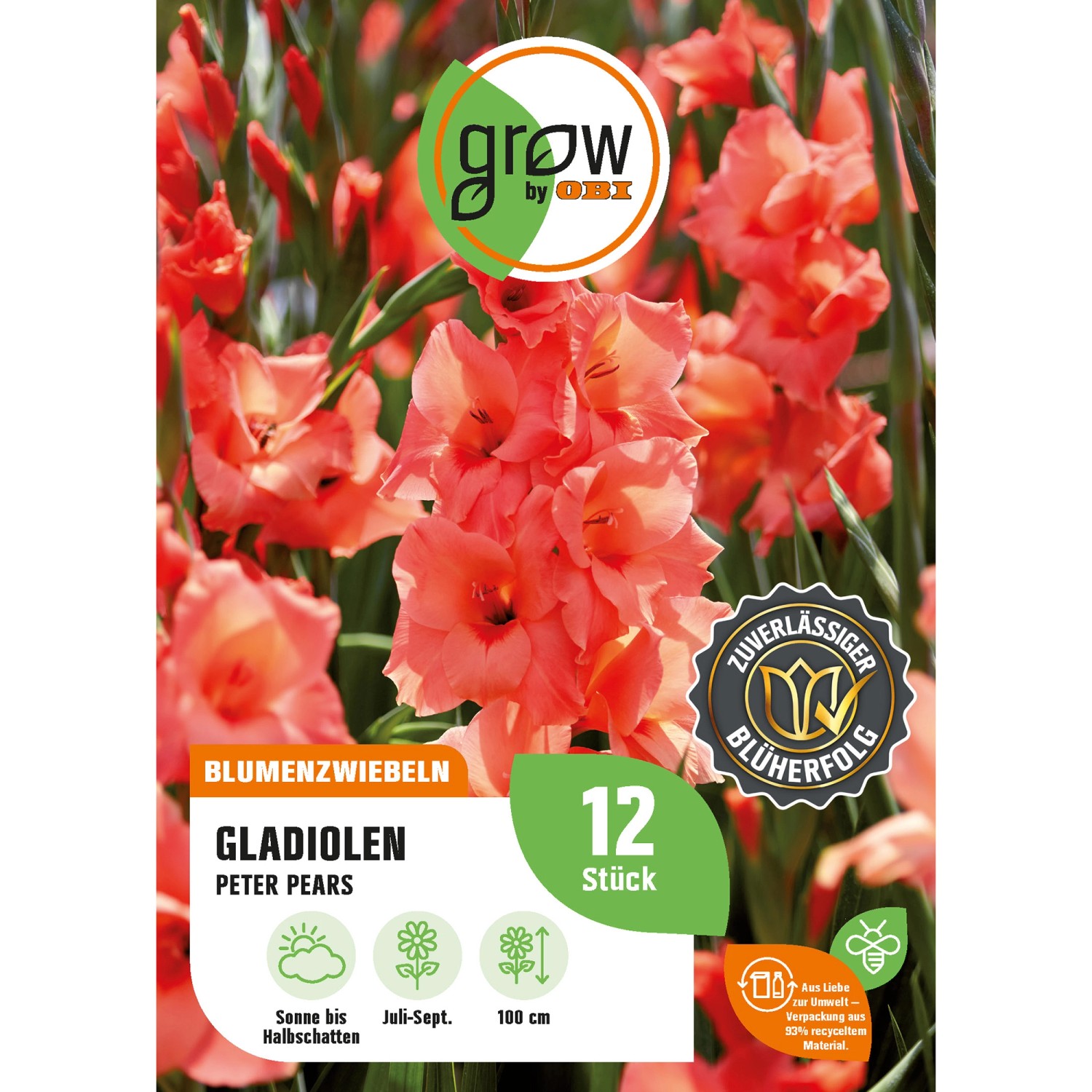 GROW by OBI Gladiole Peter Pears Höhe ca. 100 cm Gladiolus grandiflorus günstig online kaufen