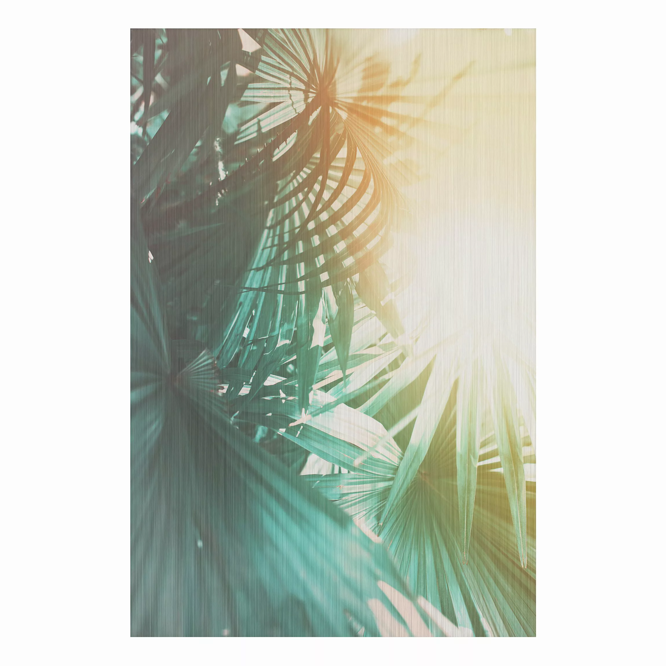 Alu-Dibond Bild Tropische Pflanzen Palmen bei Sonnenuntergang günstig online kaufen