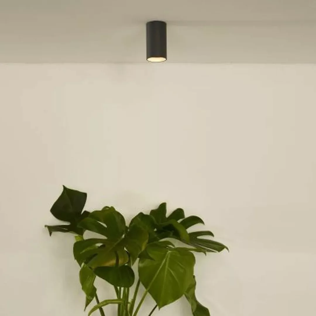 LED-Deckenleuchte Delto dim to warm, rund, grau günstig online kaufen