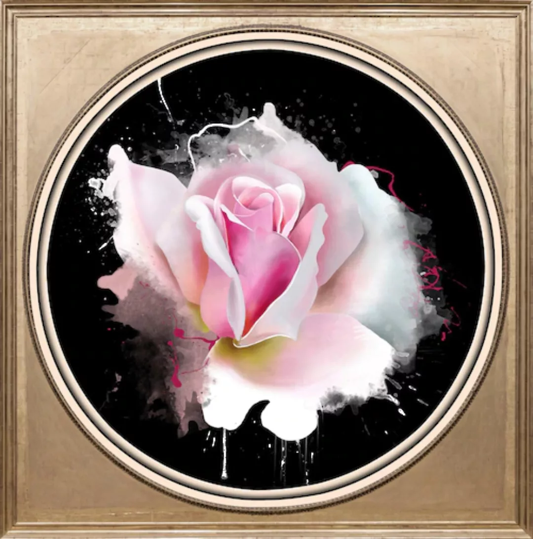 queence Acrylglasbild »Rosa Rose« günstig online kaufen