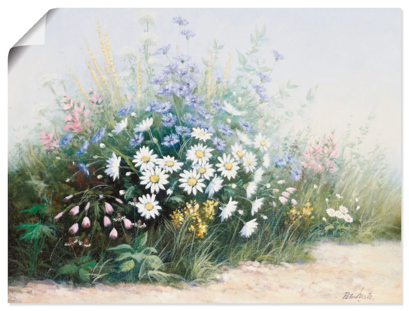 Artland Wandbild »Blumen Serenade«, Blumen, (1 St.) günstig online kaufen