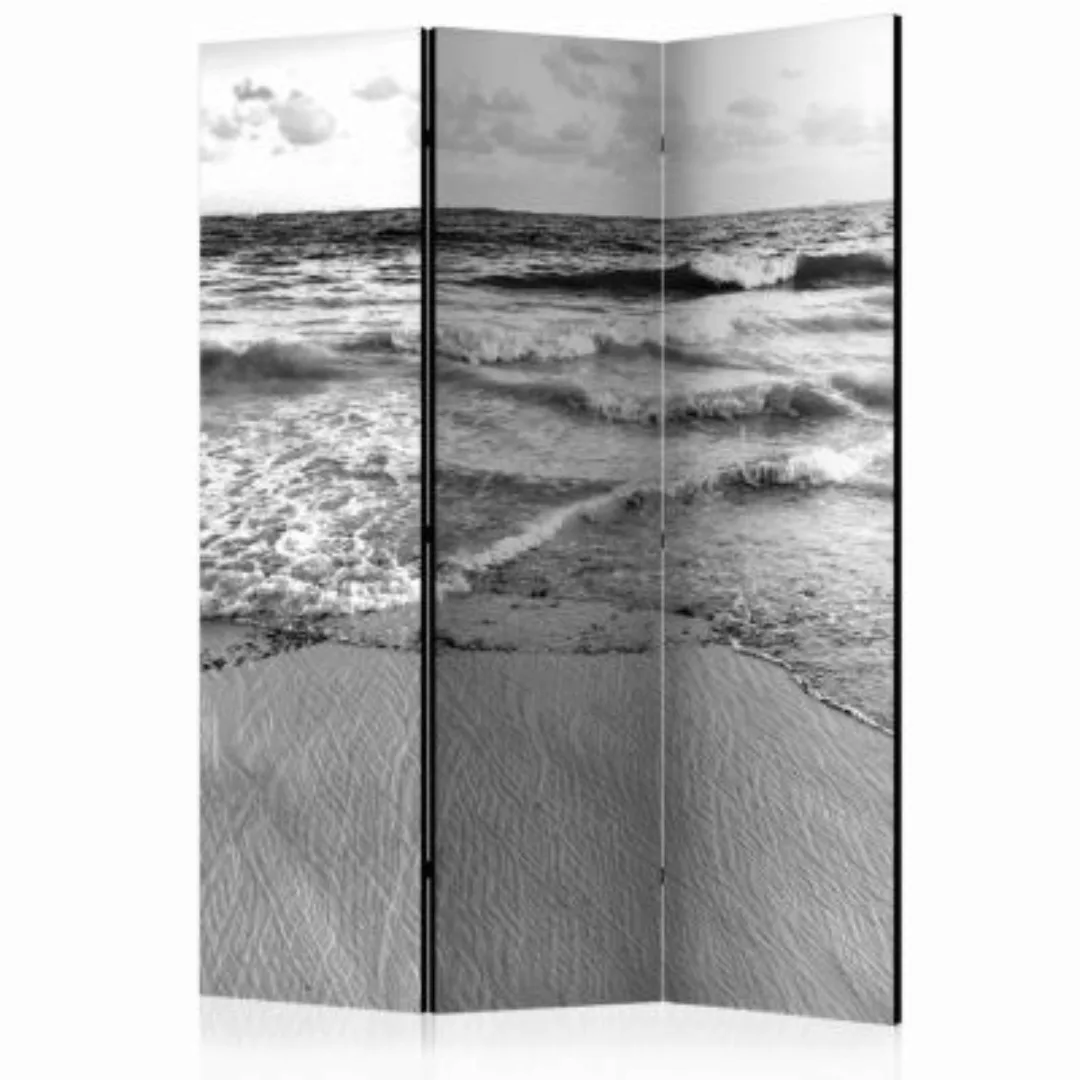 artgeist Paravent Subtle Afternoon [Room Dividers] schwarz/weiß Gr. 135 x 1 günstig online kaufen