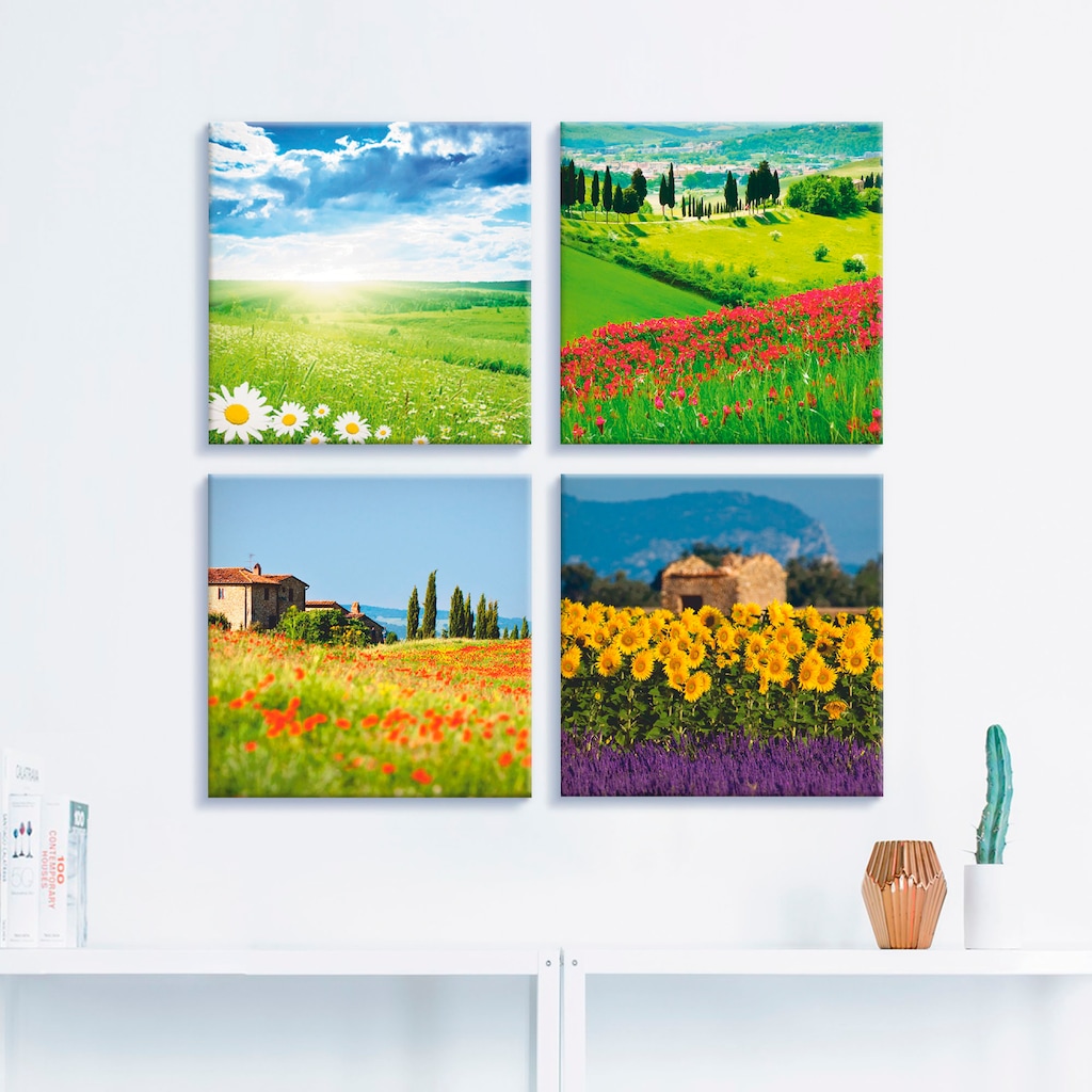 Artland Leinwandbild »Gänseblume Zypressen Mohn Lavendel«, Felder, (4 St.), günstig online kaufen