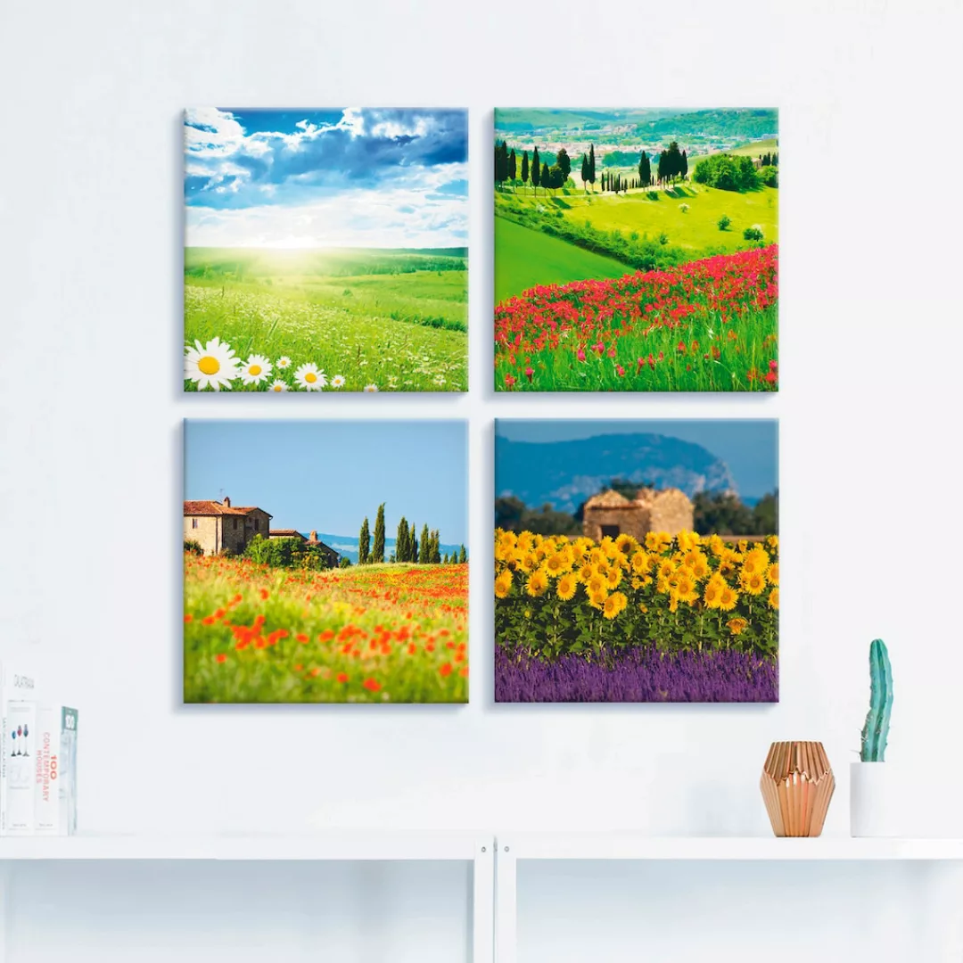 Artland Leinwandbild »Gänseblume Zypressen Mohn Lavendel«, Felder, (4 St.), günstig online kaufen