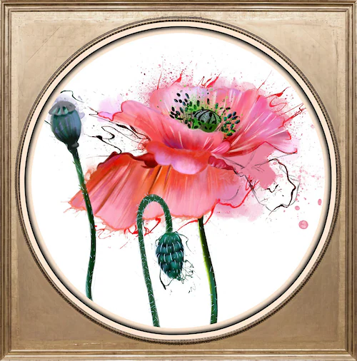 queence Acrylglasbild »Mohnblüte« günstig online kaufen