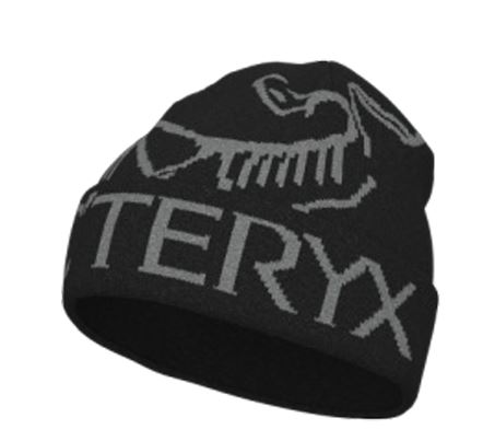 Arcteryx Bird Word Toque - lässige Mütze günstig online kaufen