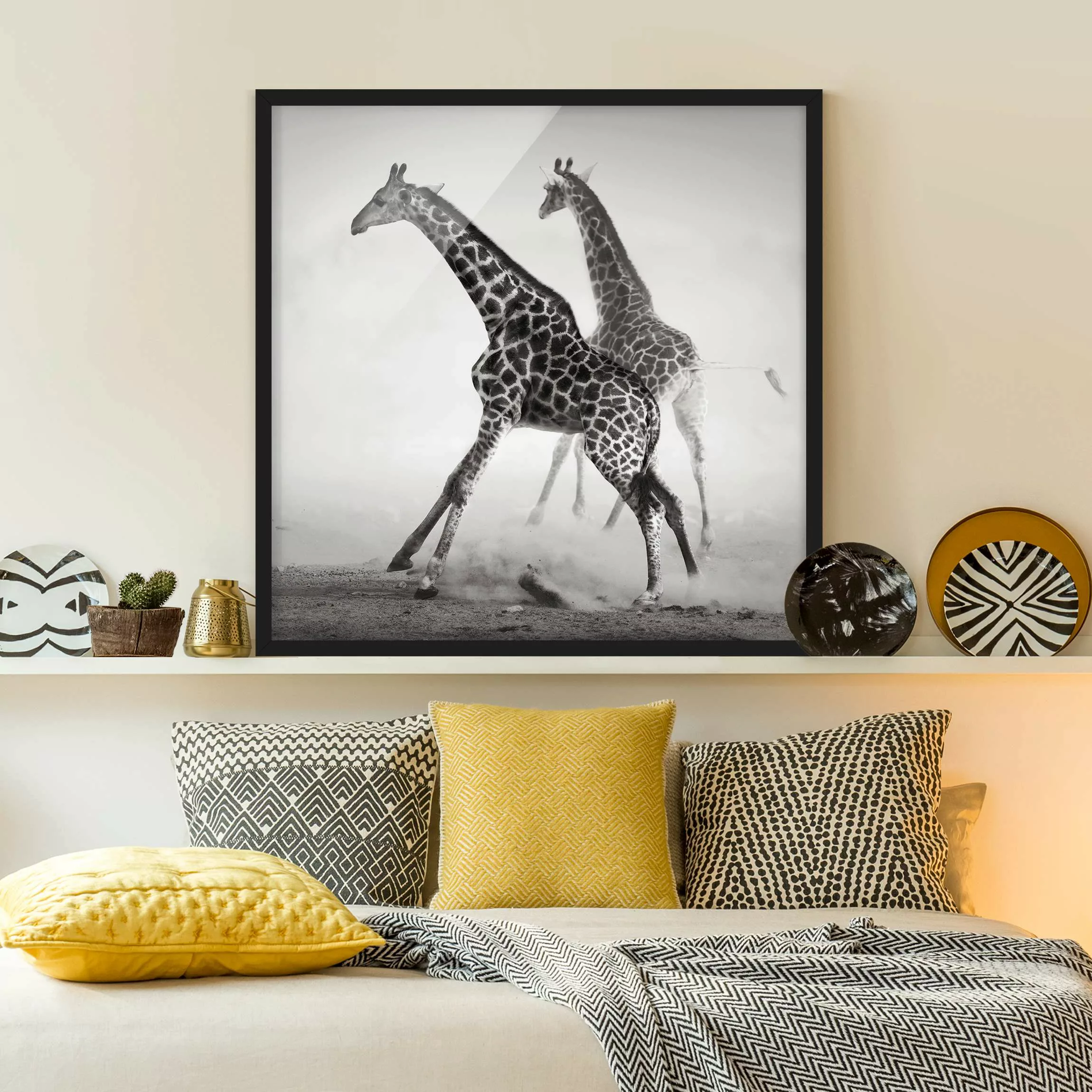 Bild mit Rahmen Schwarz-Weiß - Quadrat Giraffenjagd günstig online kaufen