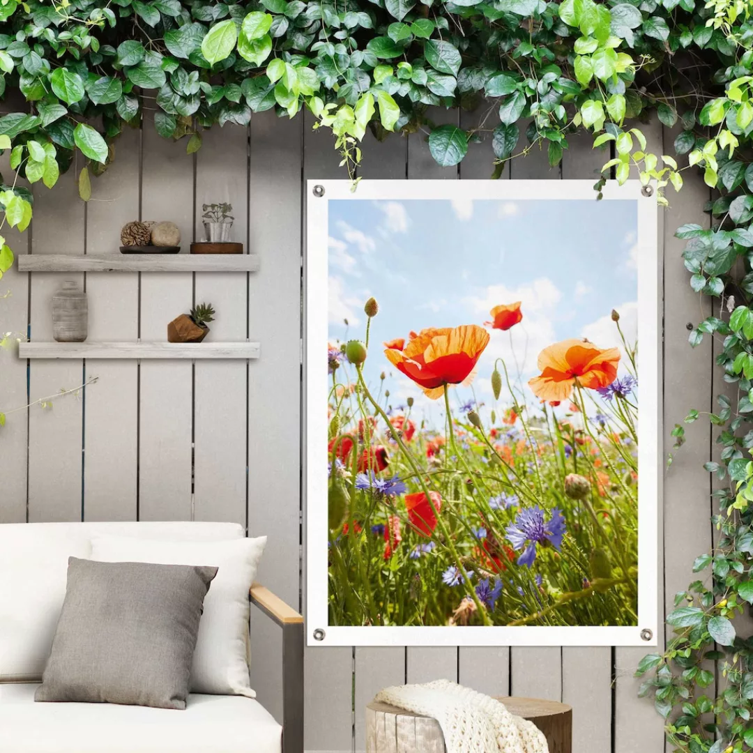 Reinders! Poster »Blumenfeld«, Outdoor für Garten oder Balkon günstig online kaufen