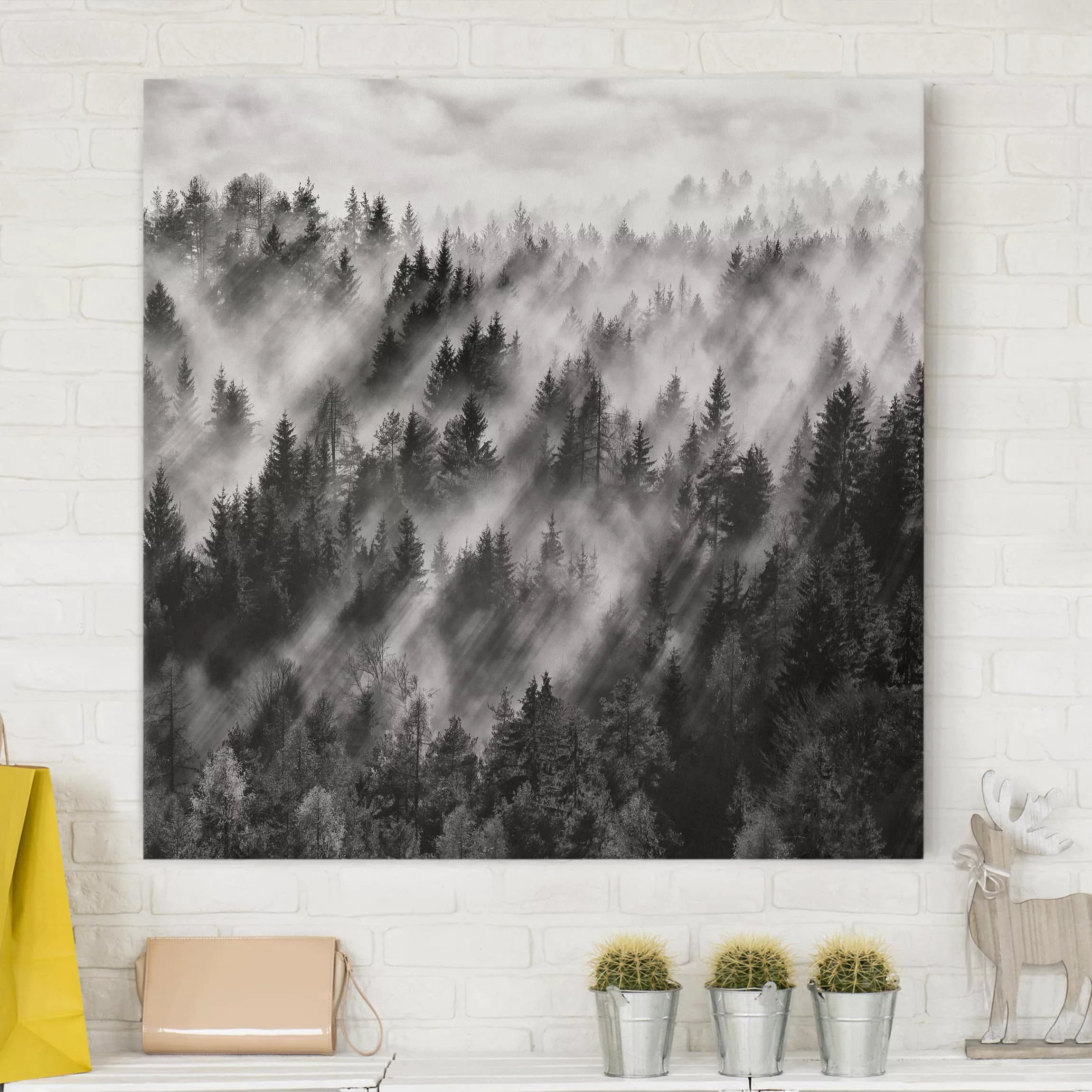 Leinwandbild Schwarz-Weiß - Quadrat Lichtstrahlen im Nadelwald günstig online kaufen
