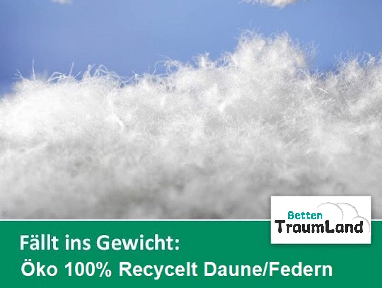 Öko Daune Daunenbettdecke Öko Daune Ganzjahresdecke günstig online kaufen