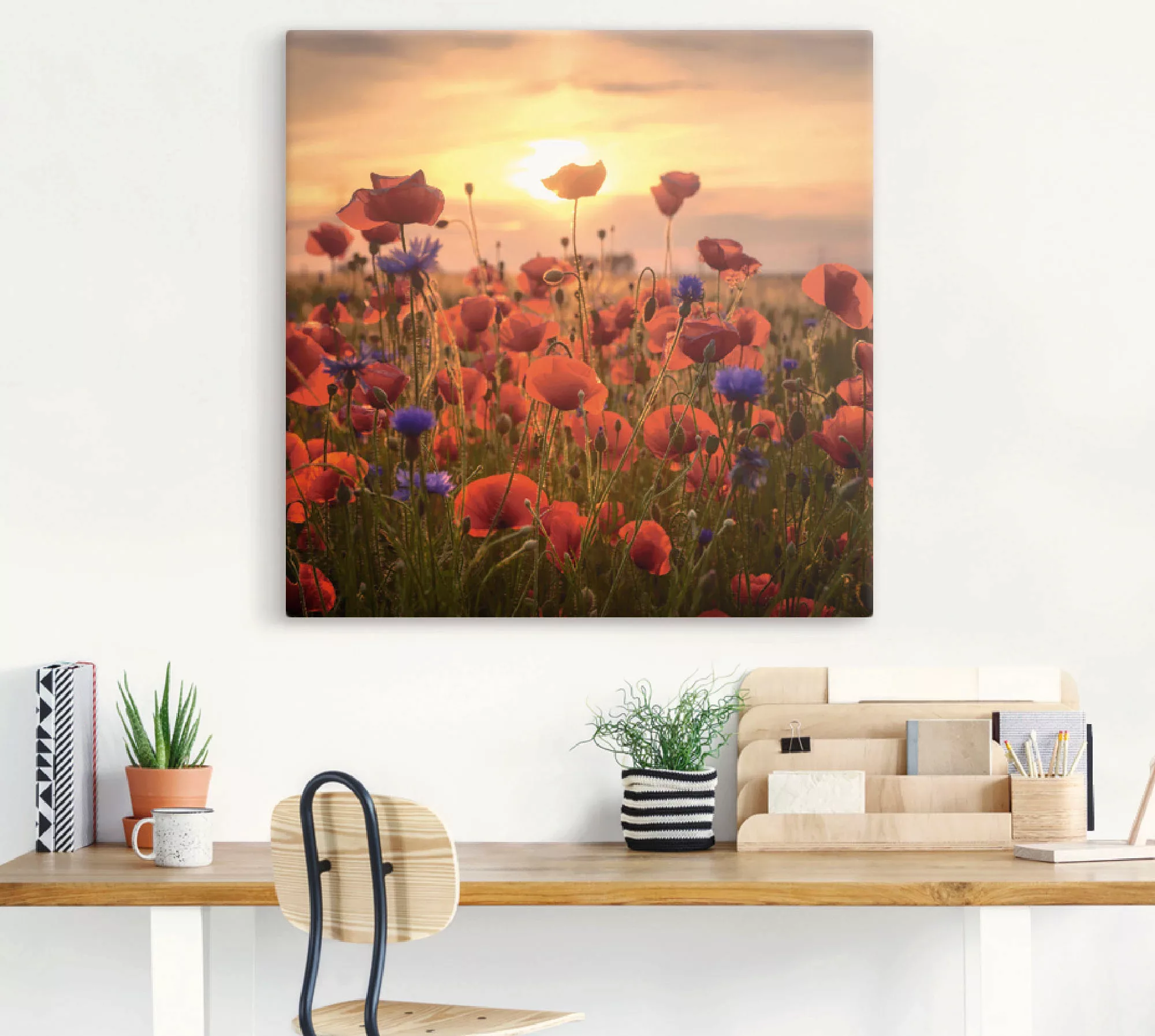 Artland Wandbild »Mohnblumen im Abendlicht«, Blumen, (1 St.) günstig online kaufen