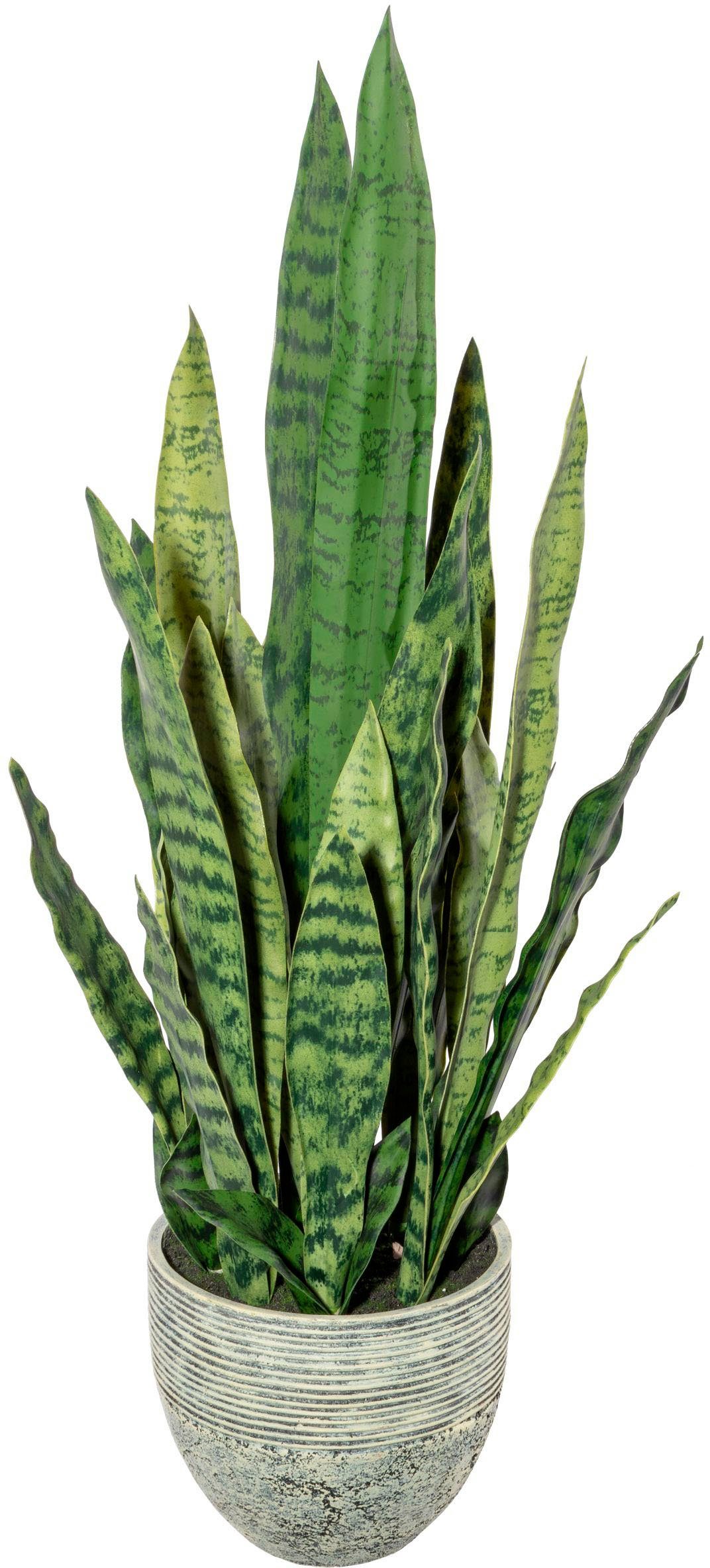 Künstliche Zimmerpflanze Sanseveria Sukkulente, Creativ green, günstig online kaufen