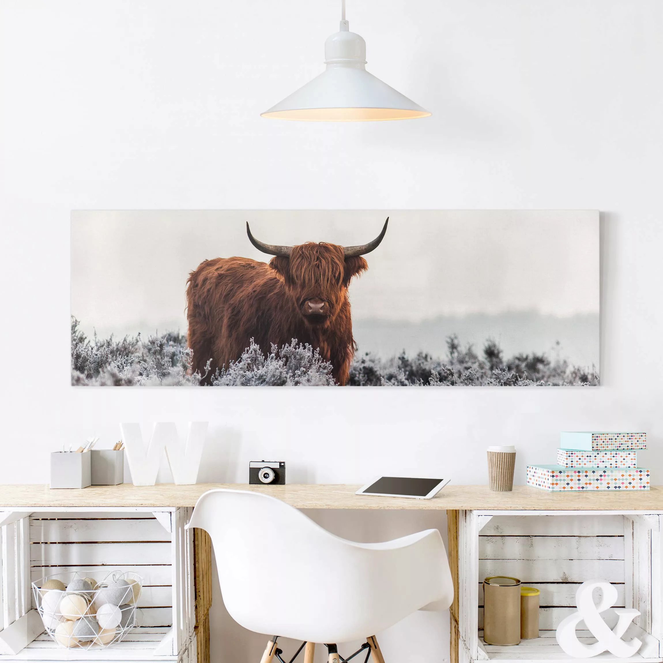 Leinwandbild Tiere - Panorama Bison in den Highlands günstig online kaufen